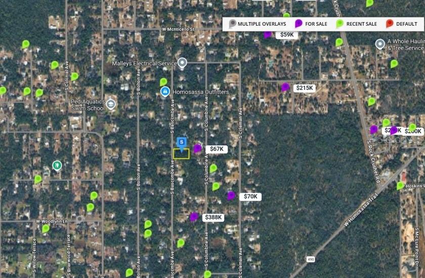 2389 South Bascombe Avenue Homosassa, FL 34448 - Photo 8 of 9 a small street view