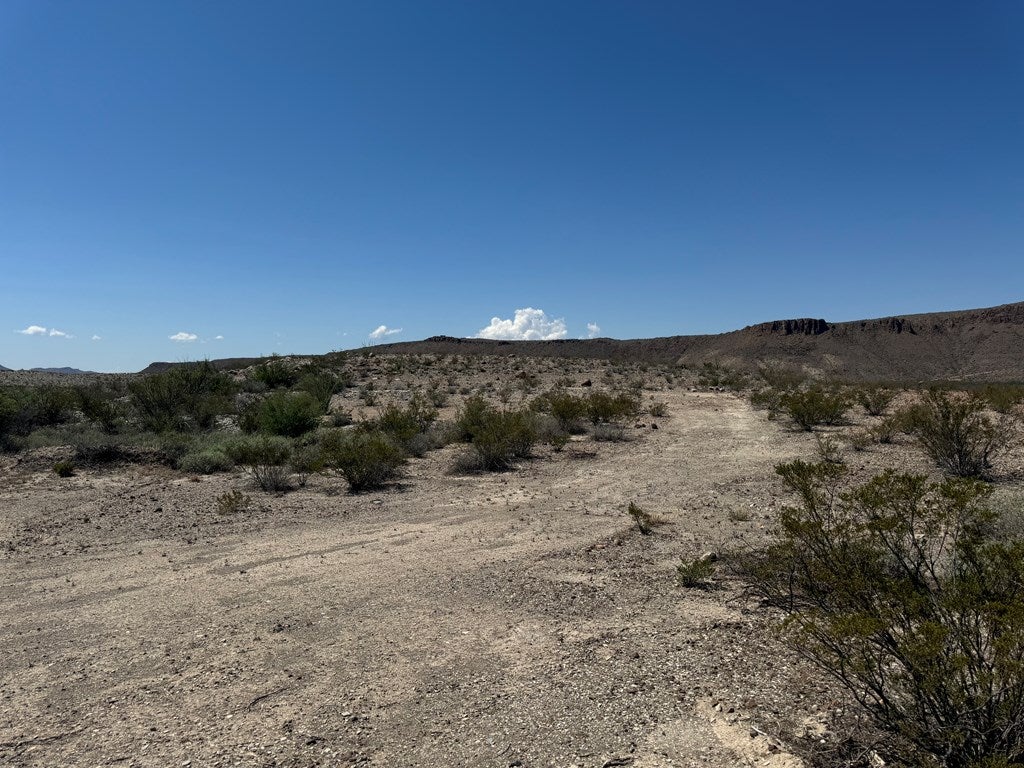 480 Doce Doe Path Alpine, TX 79830 - Photo 9 of 18 Gallery Image 9