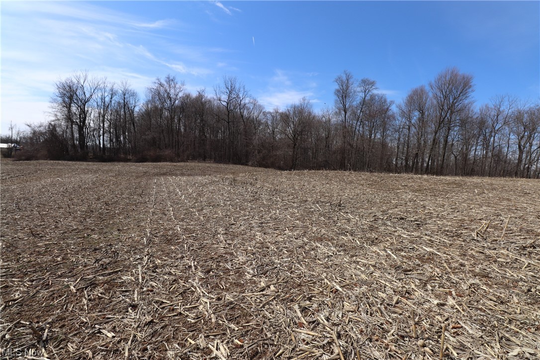 7 New Delaware Road Mount Vernon, OH 43050 - Photo 9 of 13 Gallery Image 9