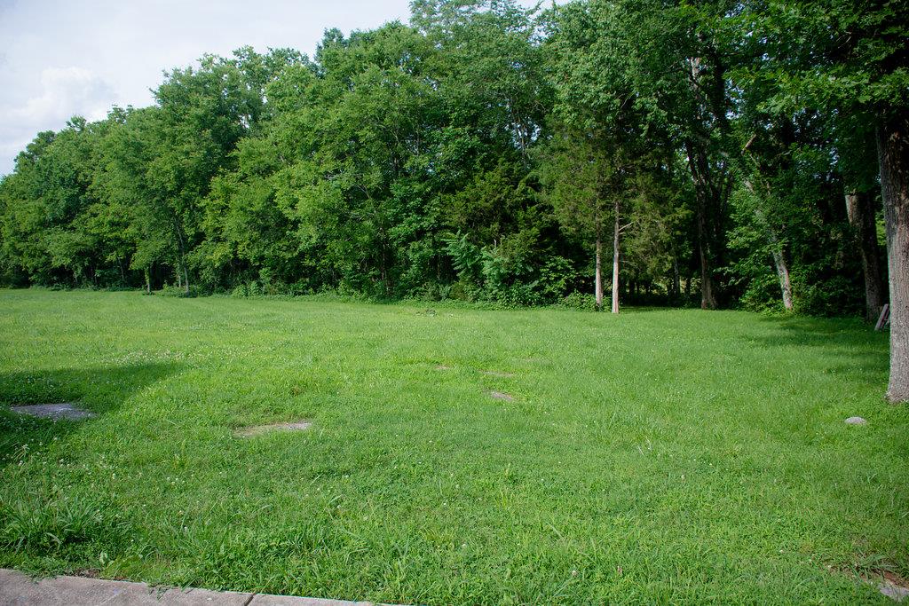 1151 Spring Creek Road Lebanon, TN 37087 - Photo 27 of 29 Gorgeous Mature Trees