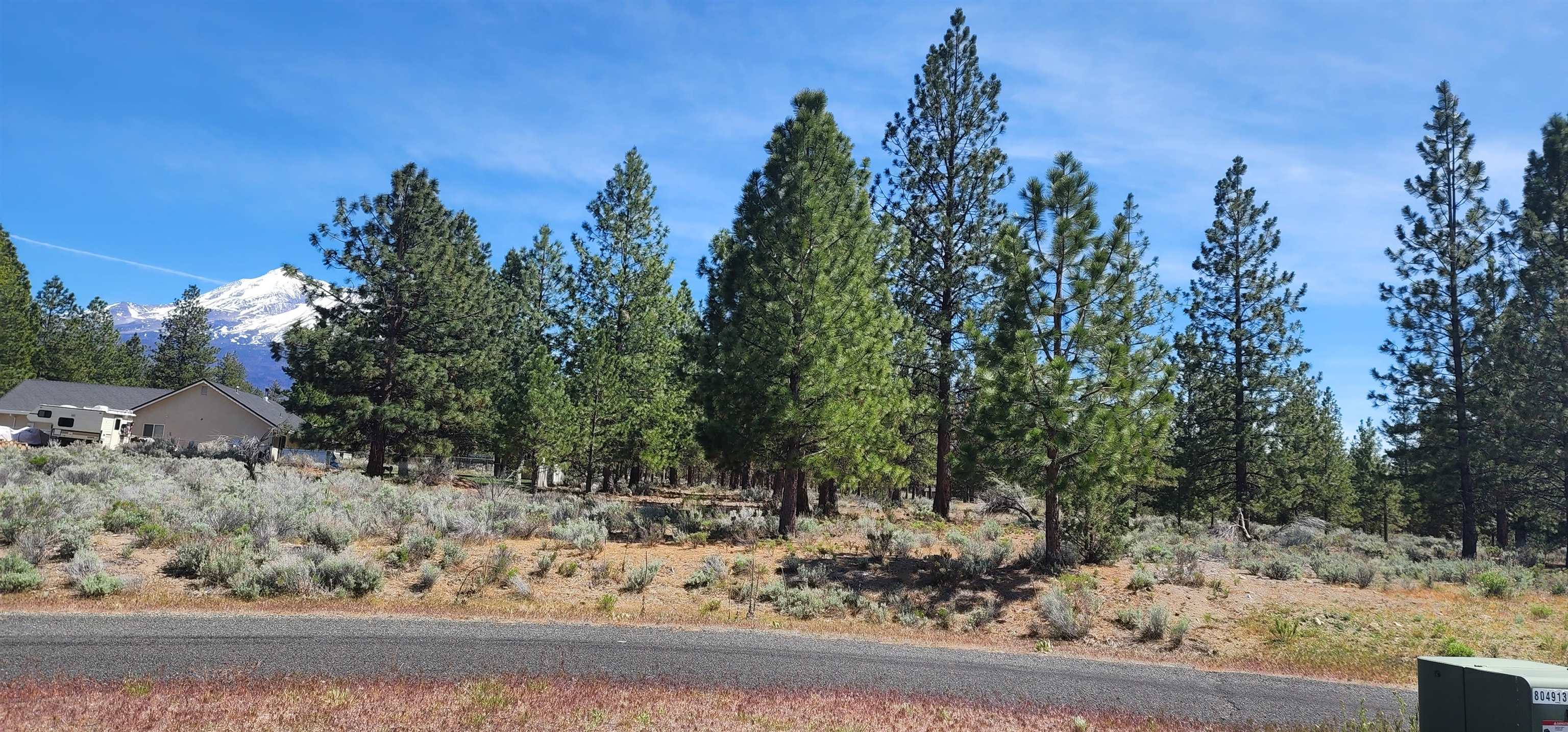 Lot 115 Buffalo Road Weed, CA 96094 - Photo 1 of 6 Gallery Image 1