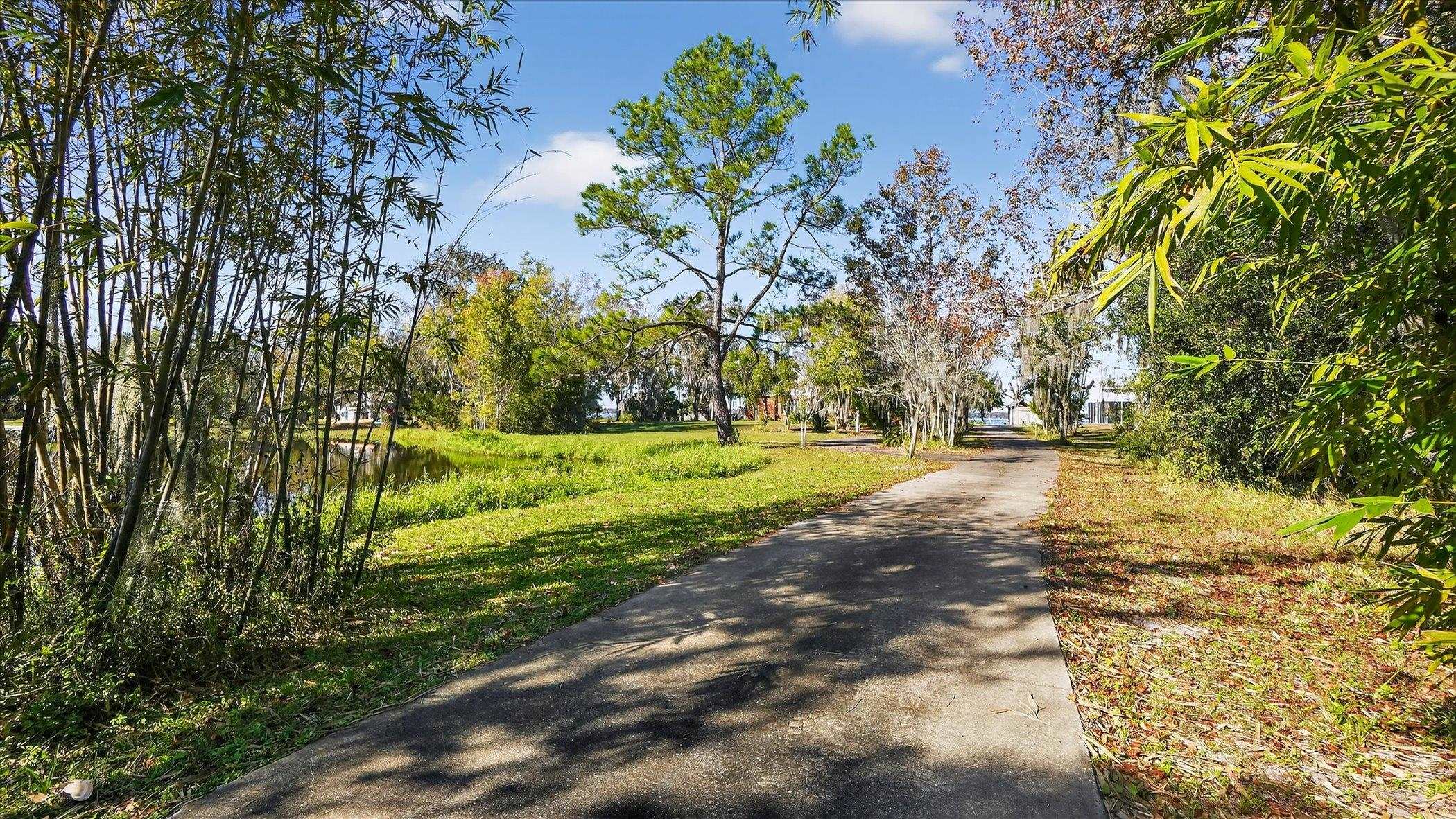 453 Federal Point Road East Palatka, FL 32131 - Photo 55 of 68 a view of yard with green space