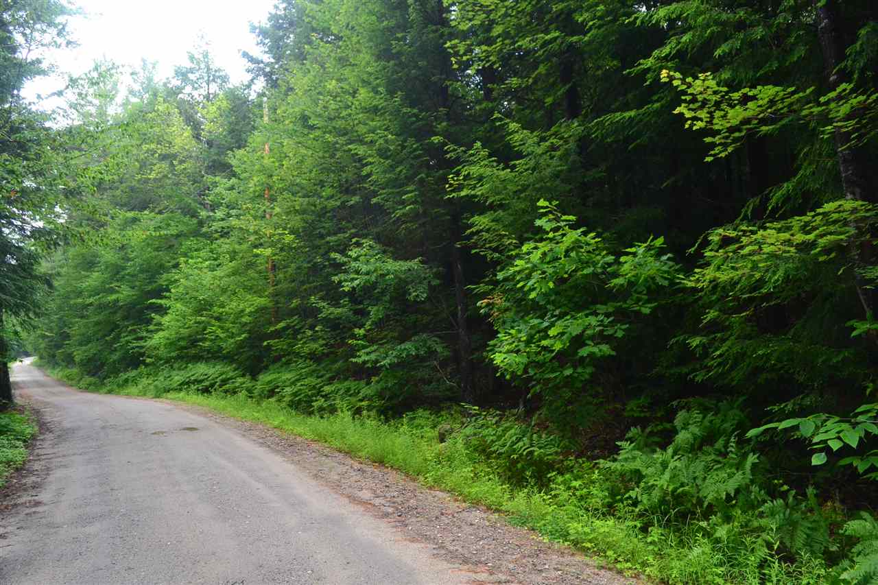82 Ford MIll Road Danbury, NH 03230 - Photo 2 of 13 Gallery Image 2