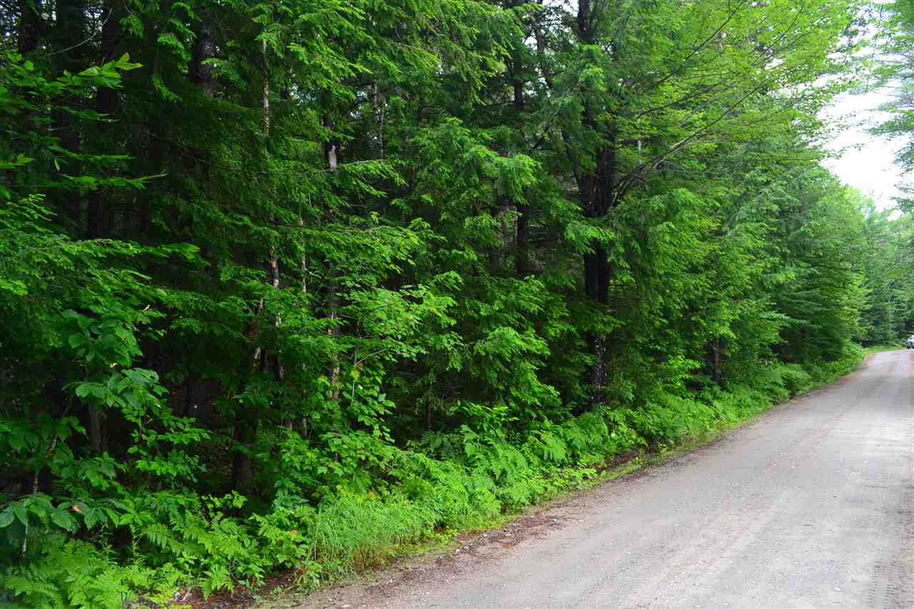 82 Ford MIll Road Danbury, NH 03230 - Photo 4 of 13 Gallery Image 4