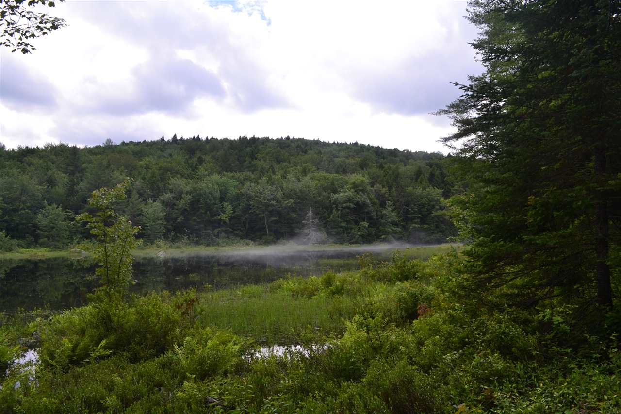 82 Ford MIll Road Danbury, NH 03230 - Photo 5 of 13 Gallery Image 5