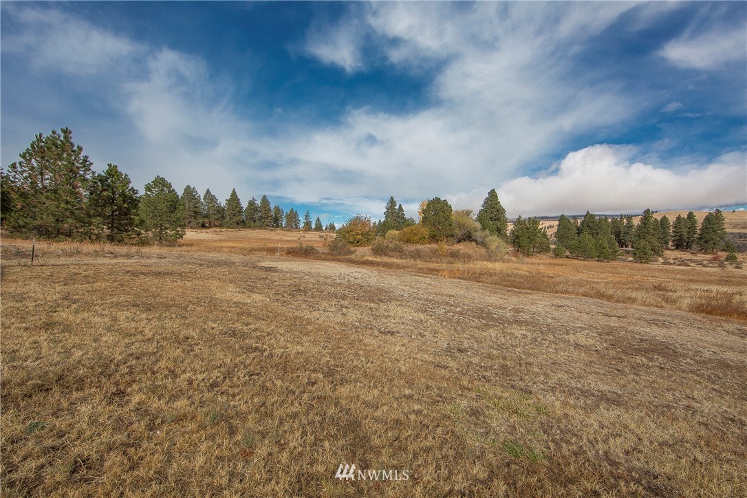 5851 Thorp Prairie Road Cle Elum, WA 98922 - Photo 17 of 25 Gallery Image 17