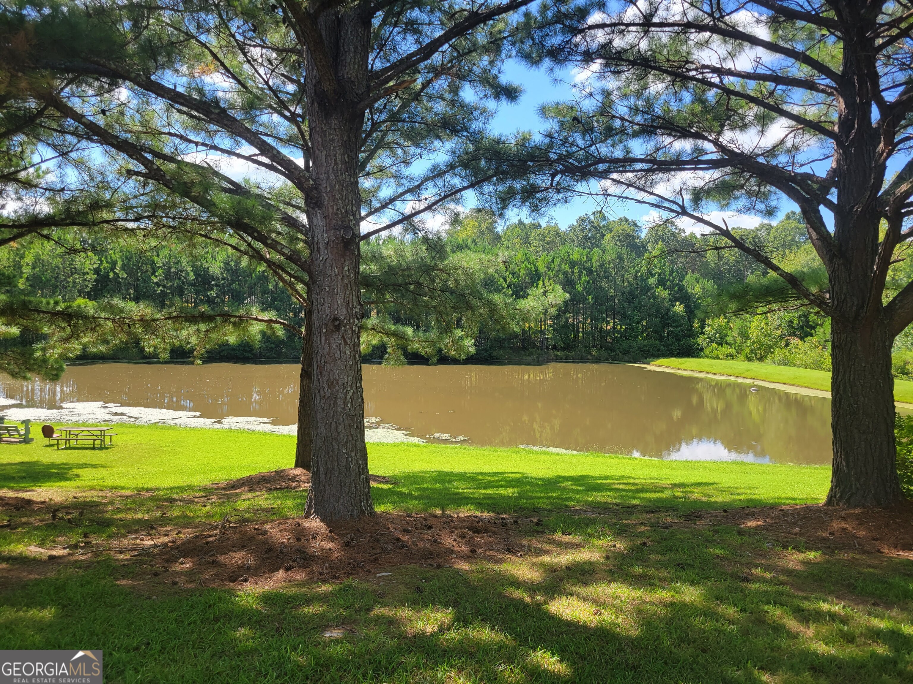 5325 Bethlehem Road Fairburn, GA 30213 - Photo 12 of 21 a view of a lake with a yard