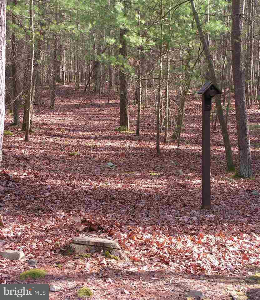 31 Murphy Road Gardners, PA 17324 - Photo 3 of 16 Gallery Image 3