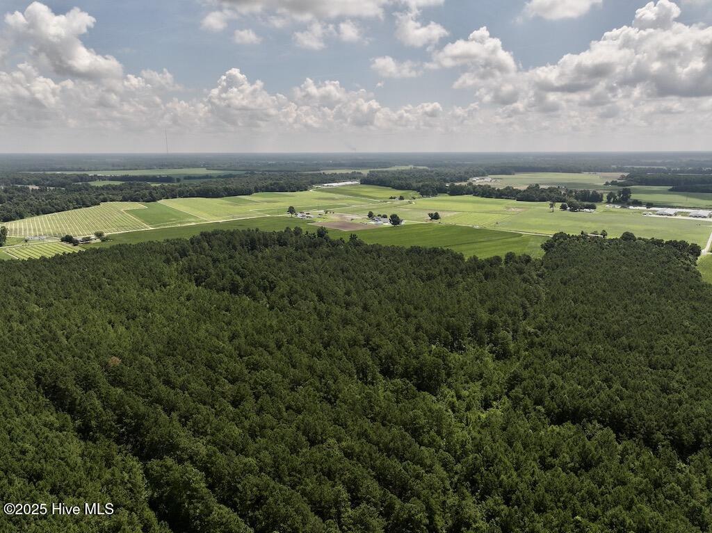 5 Albritton Road Snow Hill, NC 28580 - Photo 6 of 30 5