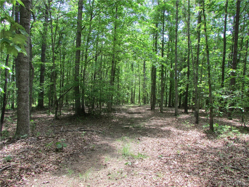 1 Spencer Road Dillwyn, VA 23936 - Photo 11 of 50 Gallery Image 11