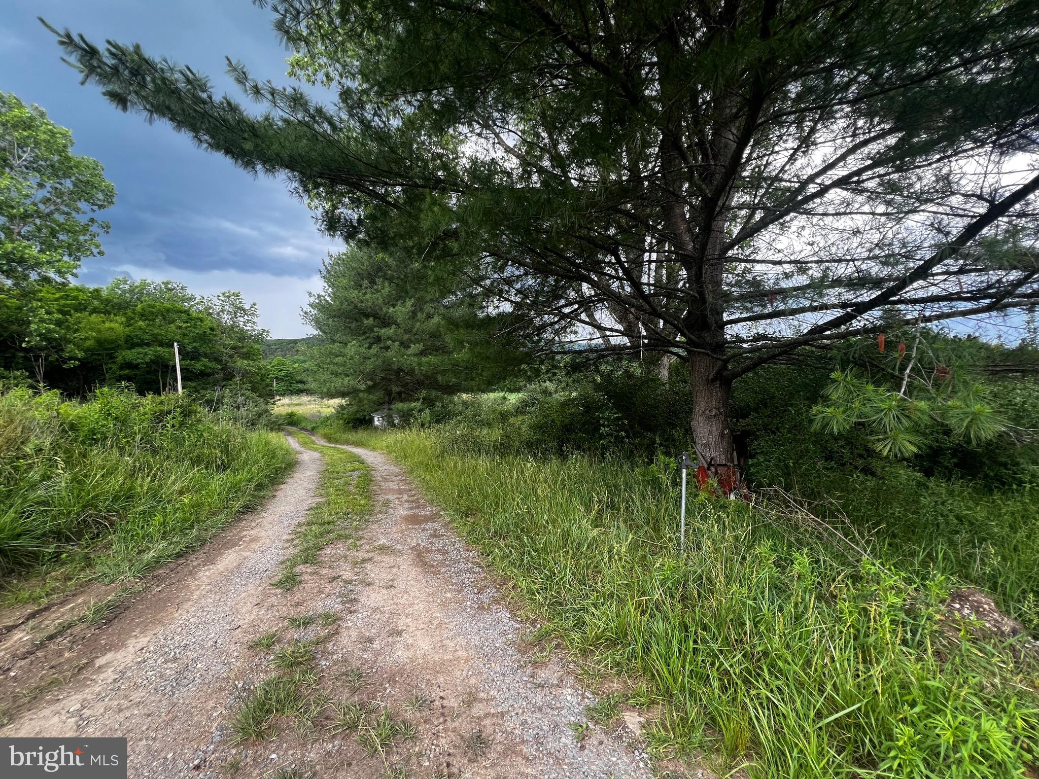 12125 State Road 259 Mathias, WV 26812 - Photo 25 of 40