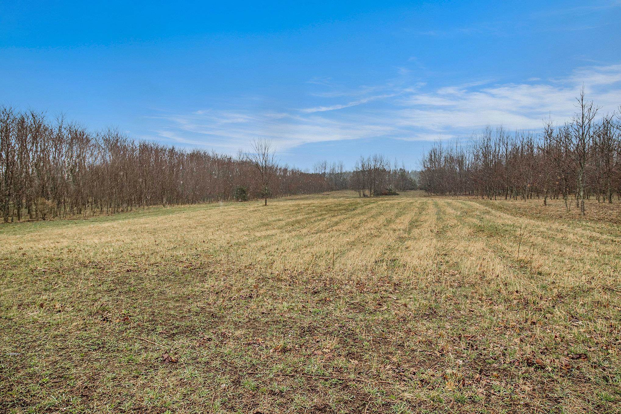 8110 Ames Road Bear Lake, MI 49614 - Photo 28 of 35