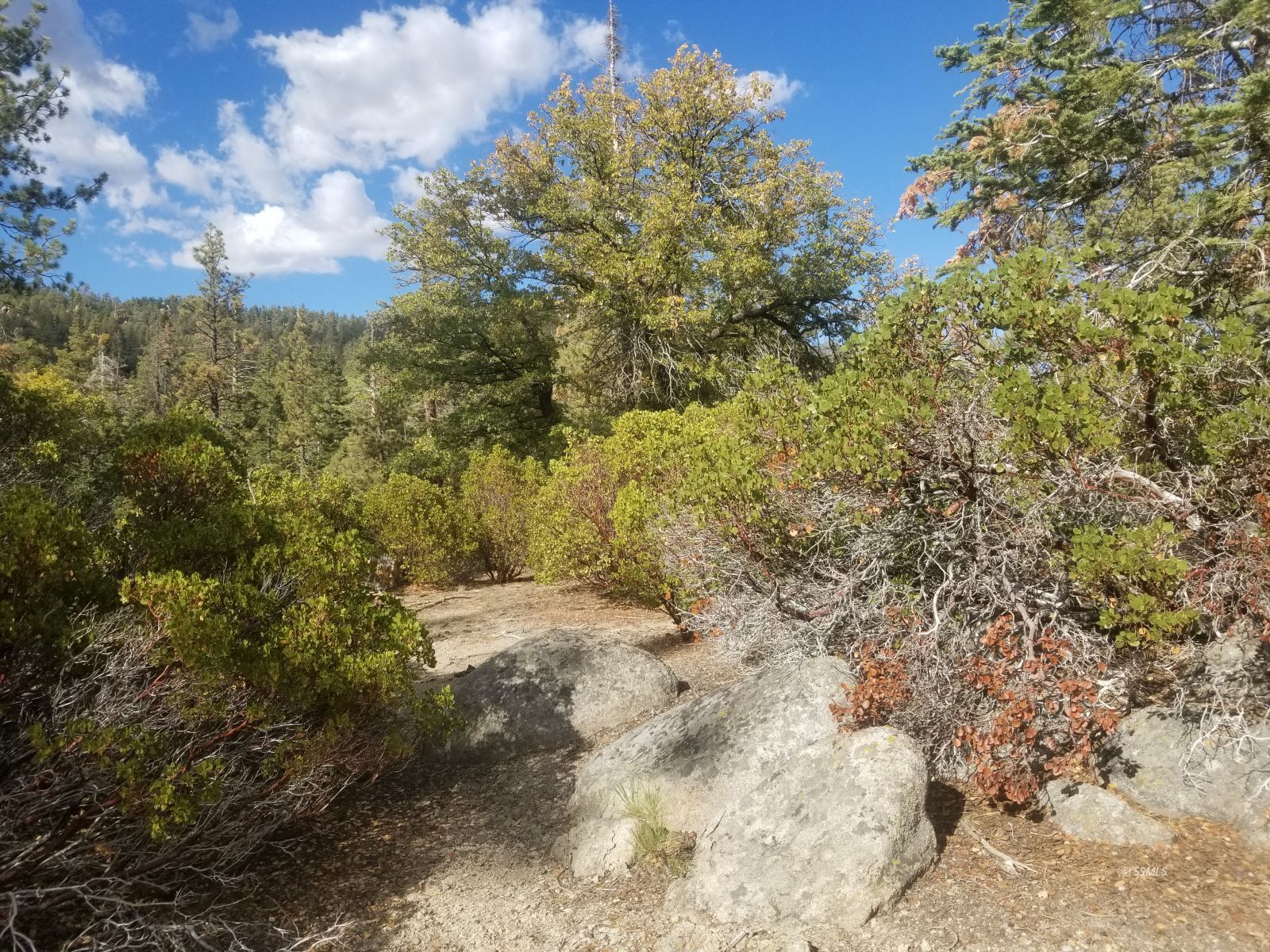 Piute Pines Caliente, CA 93518 - Photo 9 of 26