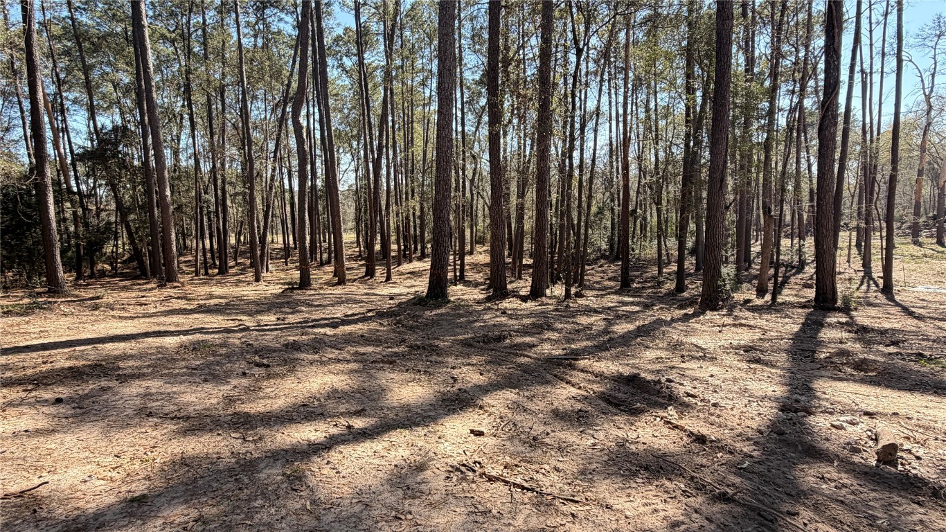 0 Michael Drive Magnolia, TX 77355 - Photo 2 of 9 a view of outdoor space with trees