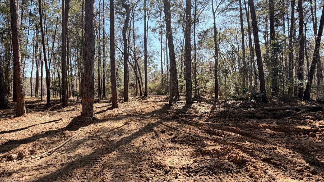 0 Michael Drive Magnolia, TX 77355 - Photo 3 of 9 a view of forest