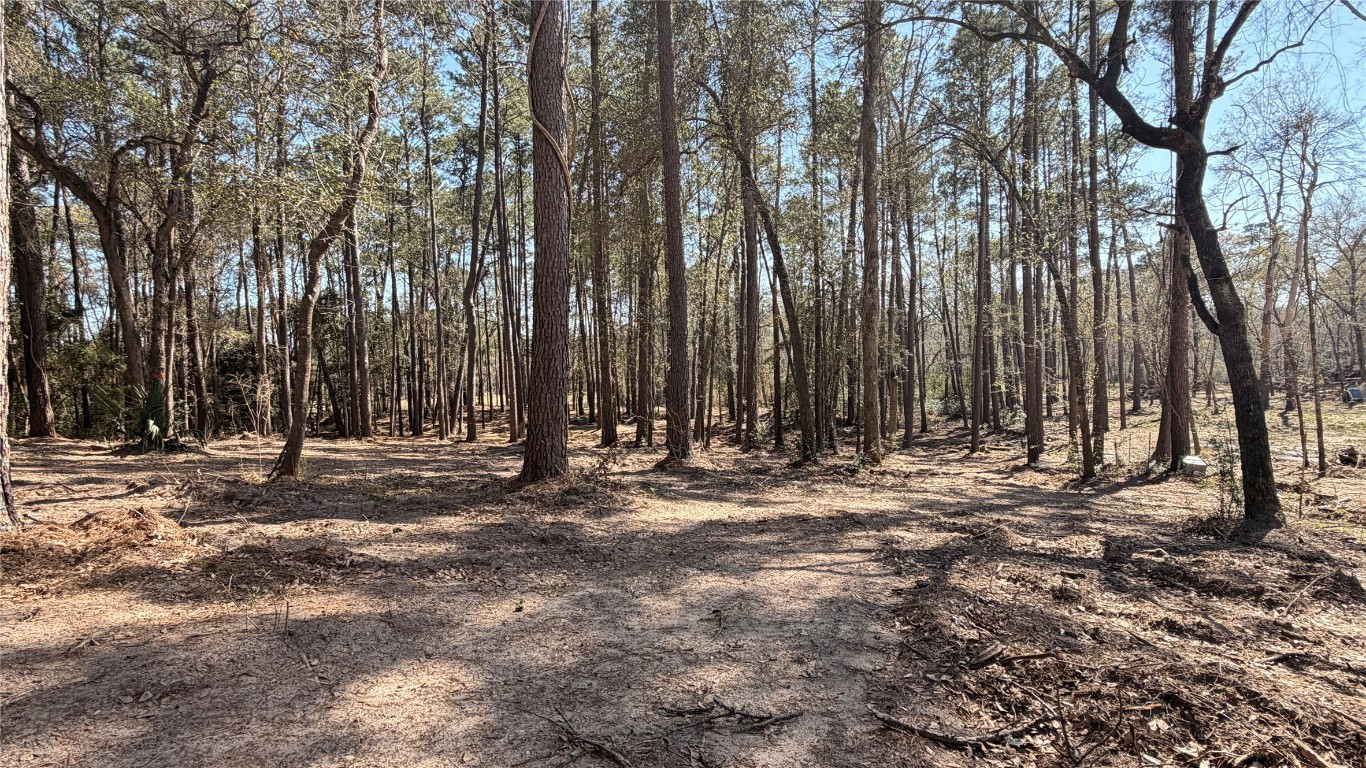 0 Michael Drive Magnolia, TX 77355 - Photo 5 of 9 a view of a backyard with large trees