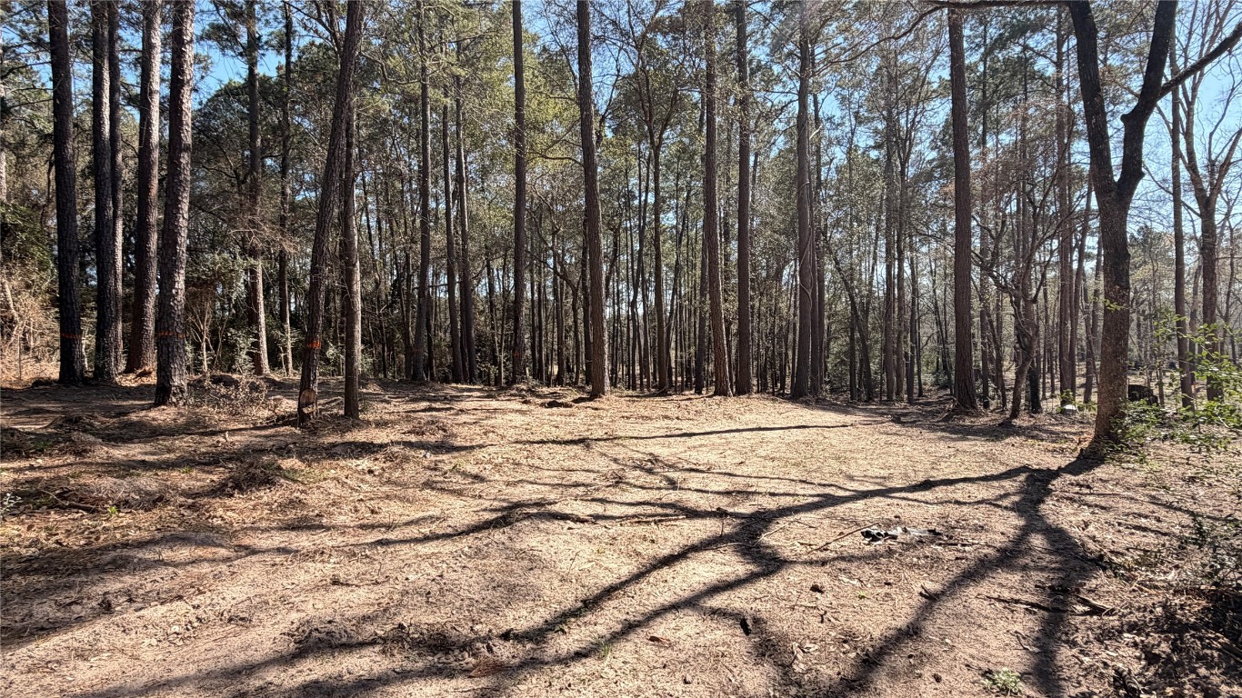 0 Michael Drive Magnolia, TX 77355 - Photo 6 of 9 a view of wooden fence and trees