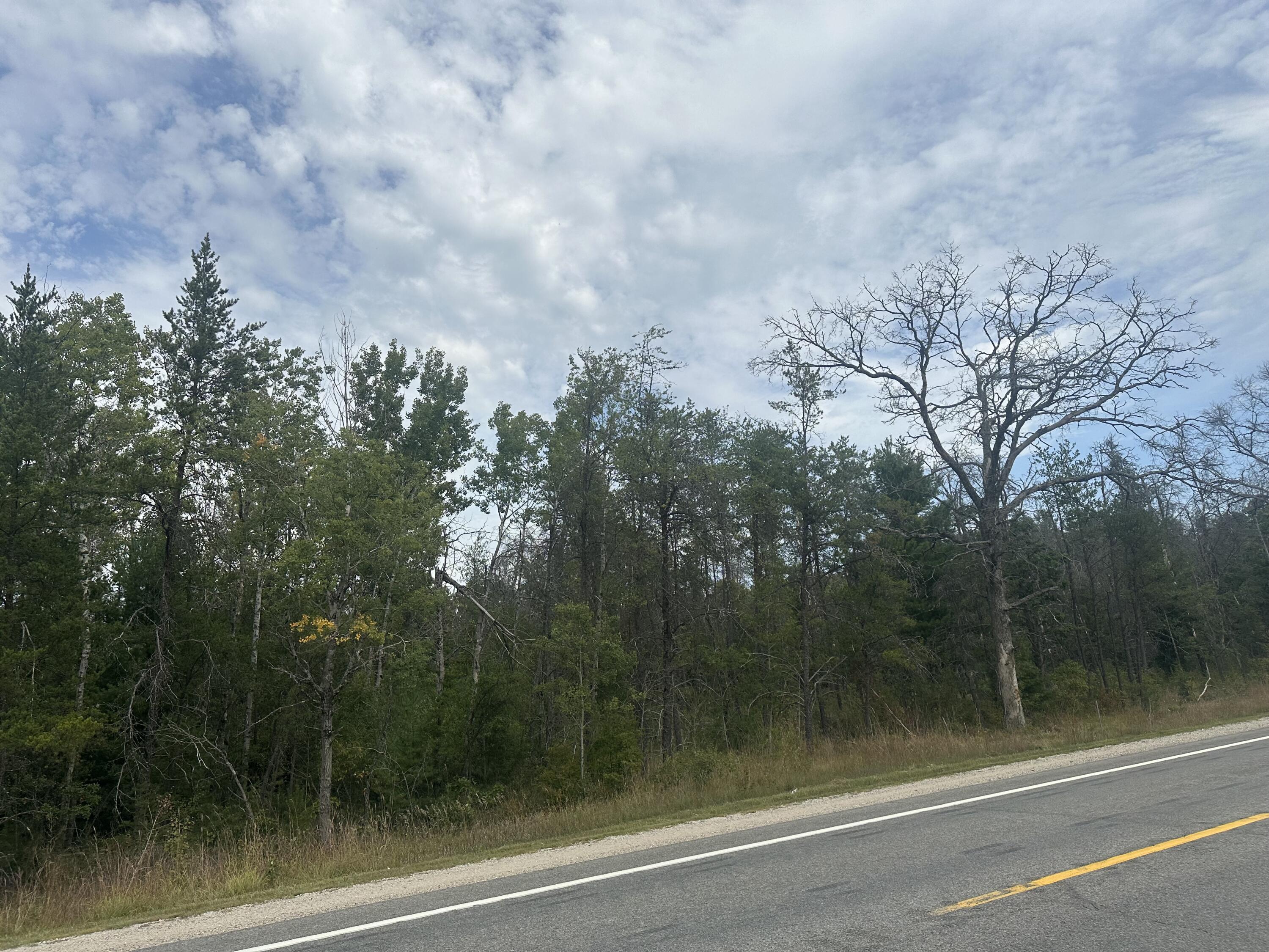 0 Spruce Road Chase, MI 49623 - Photo 11 of 11 IMG_7447