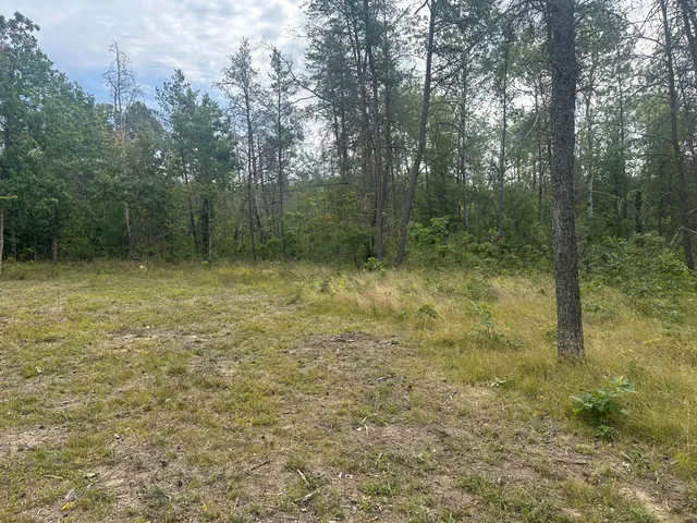 $33,900 | 0 Spruce Road, Chase, MI 49623