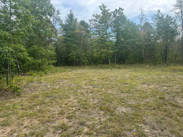 $33,900 | 0 Spruce Road, Chase, MI 49623