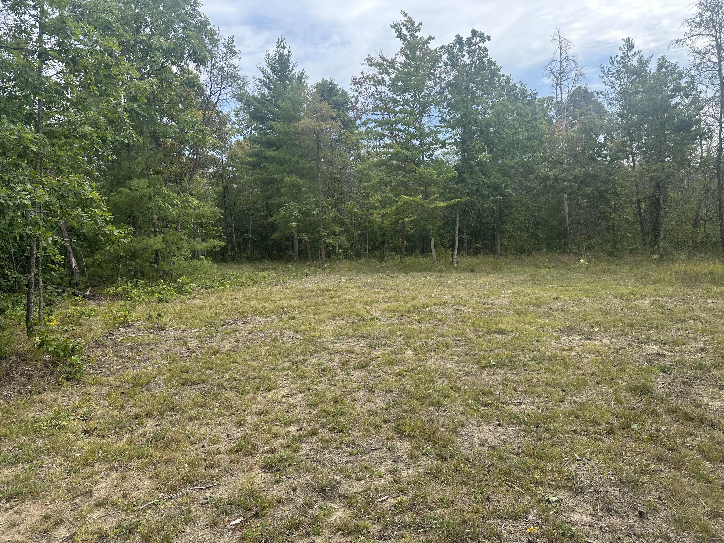 0 Spruce Road Chase, MI 49623 - Photo 3 of 11 IMG_7440