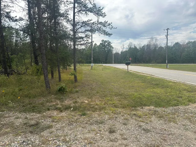 $33,900 | 0 Spruce Road, Chase, MI 49623