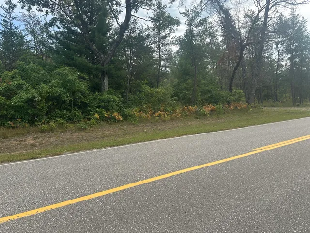 $33,900 | 0 Spruce Road, Chase, MI 49623