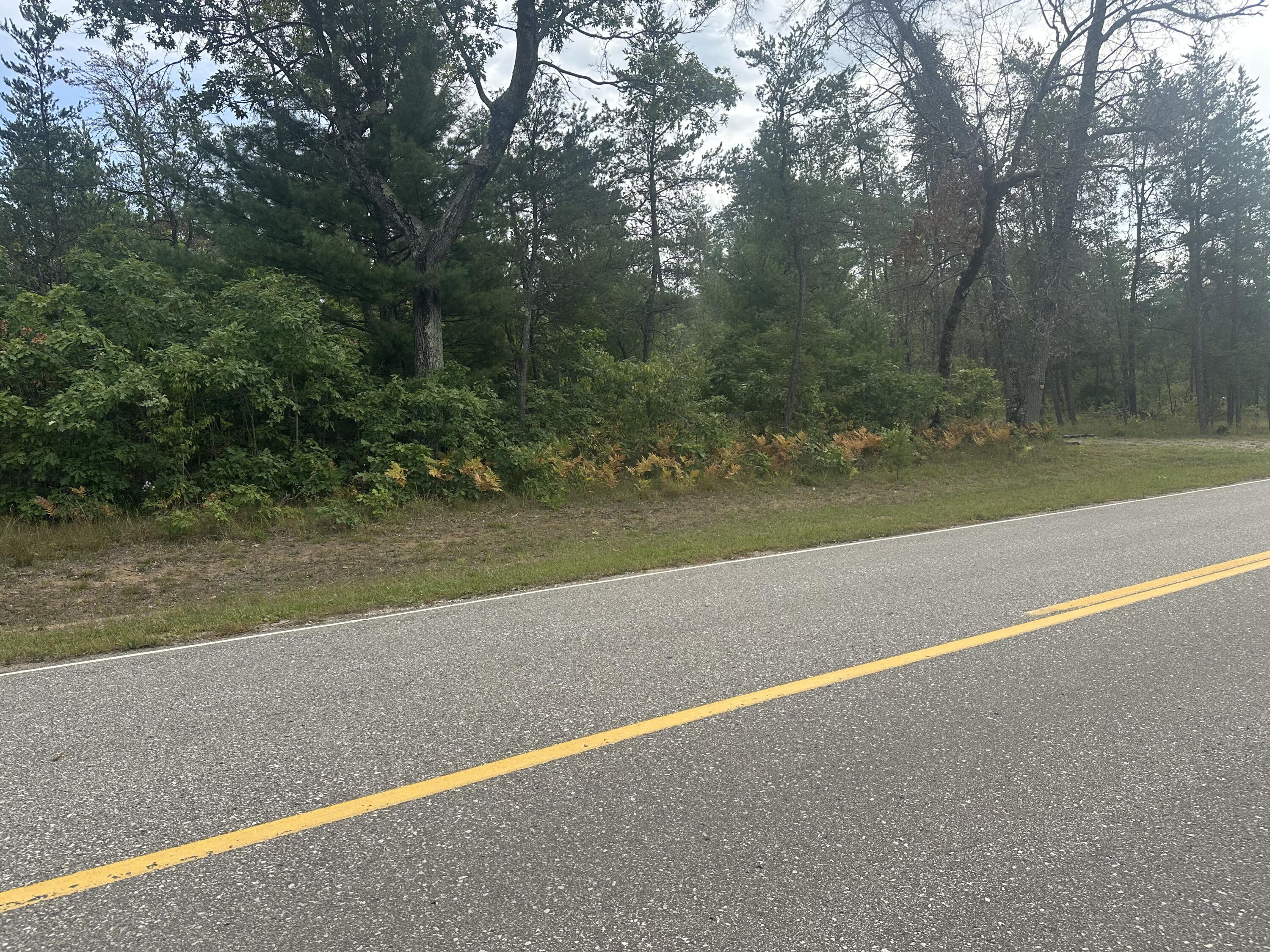 0 Spruce Road Chase, MI 49623 - Photo 6 of 11 IMG_7436