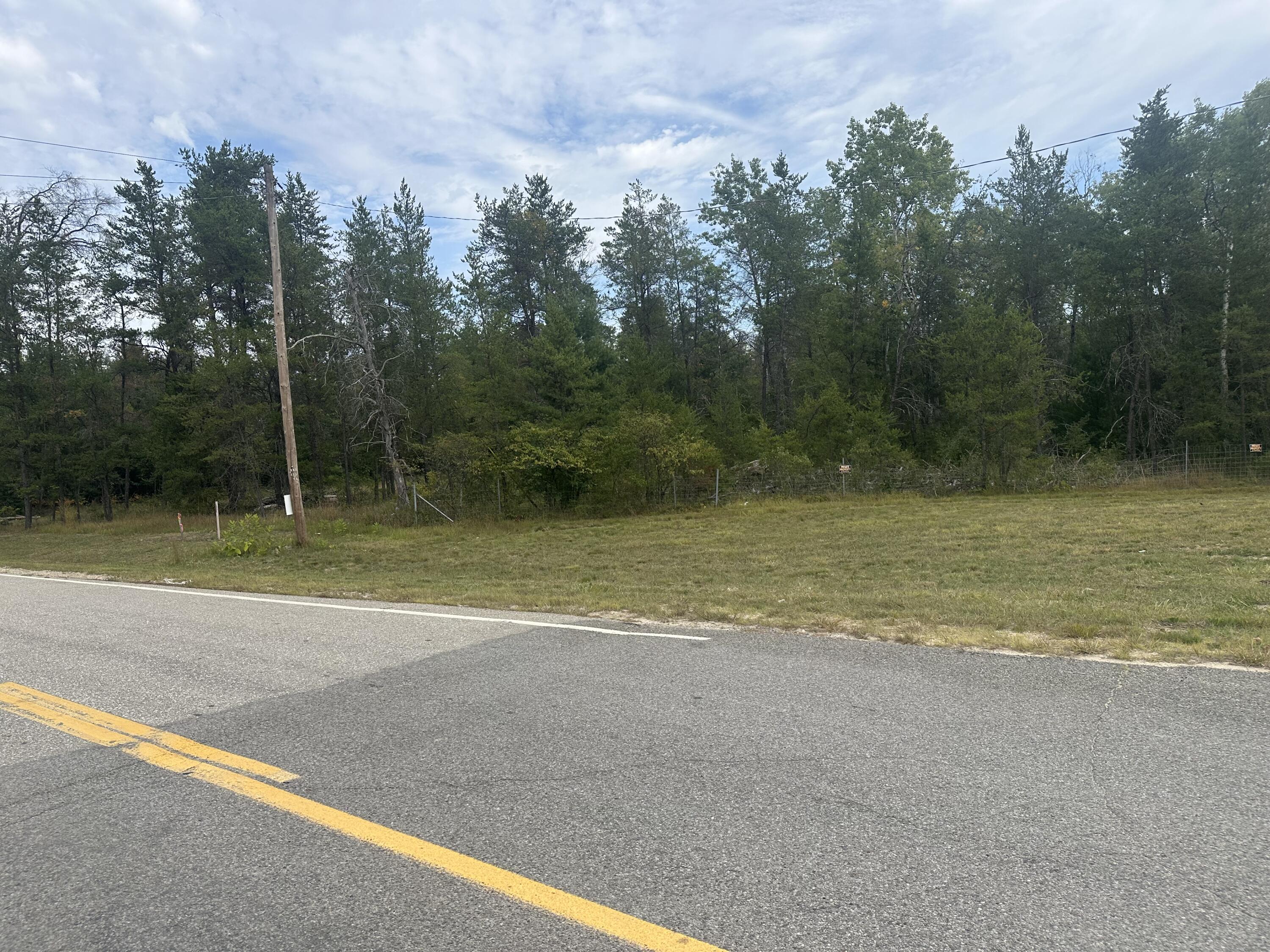 0 Spruce Road Chase, MI 49623 - Photo 7 of 11 IMG_7443