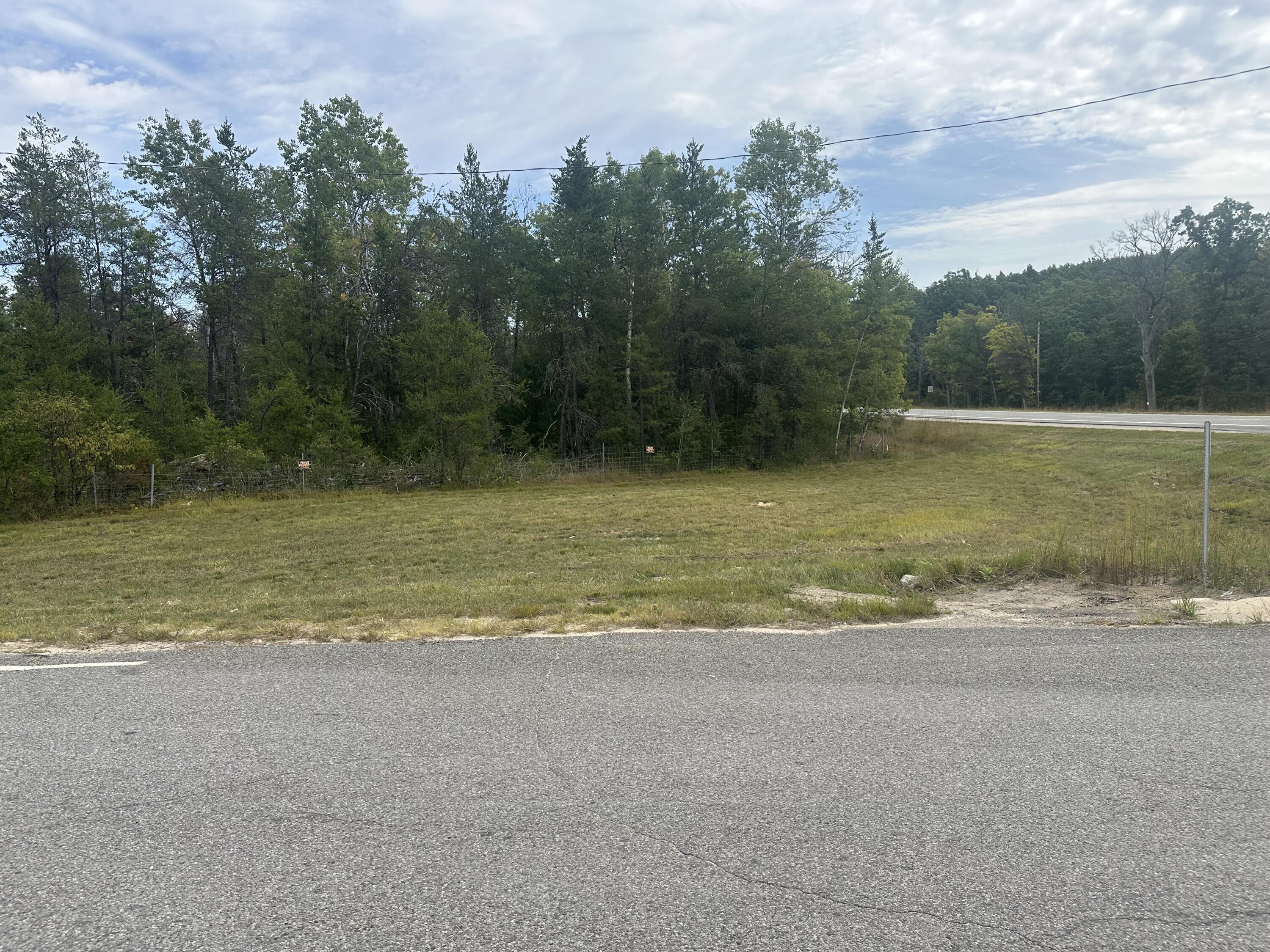 0 Spruce Road Chase, MI 49623 - Photo 8 of 11 IMG_7444