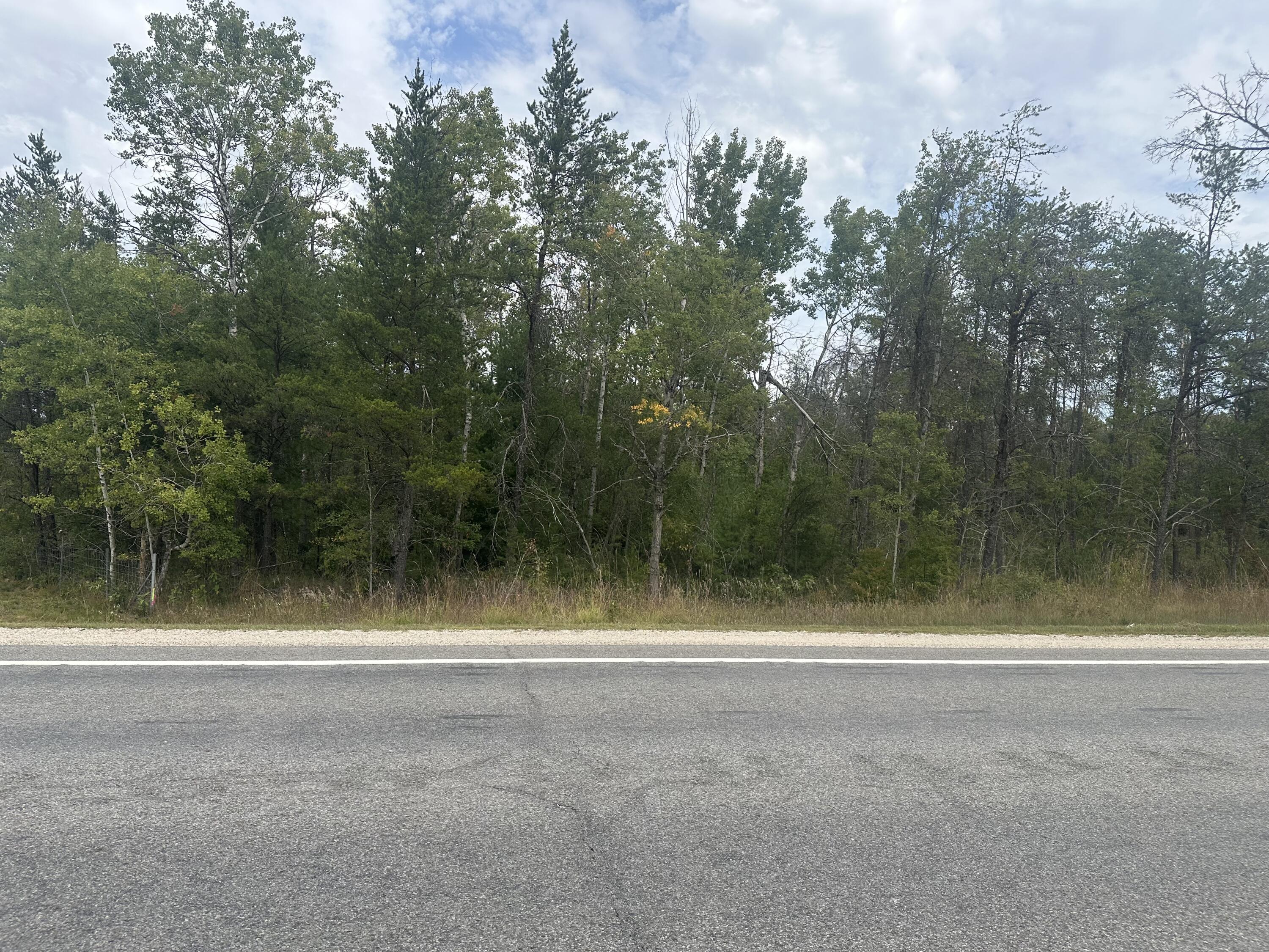 0 Spruce Road Chase, MI 49623 - Photo 10 of 11 IMG_7446