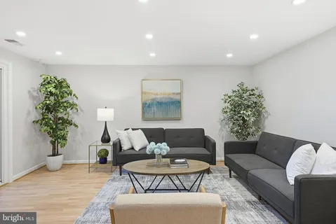 a living room with furniture and a potted plant