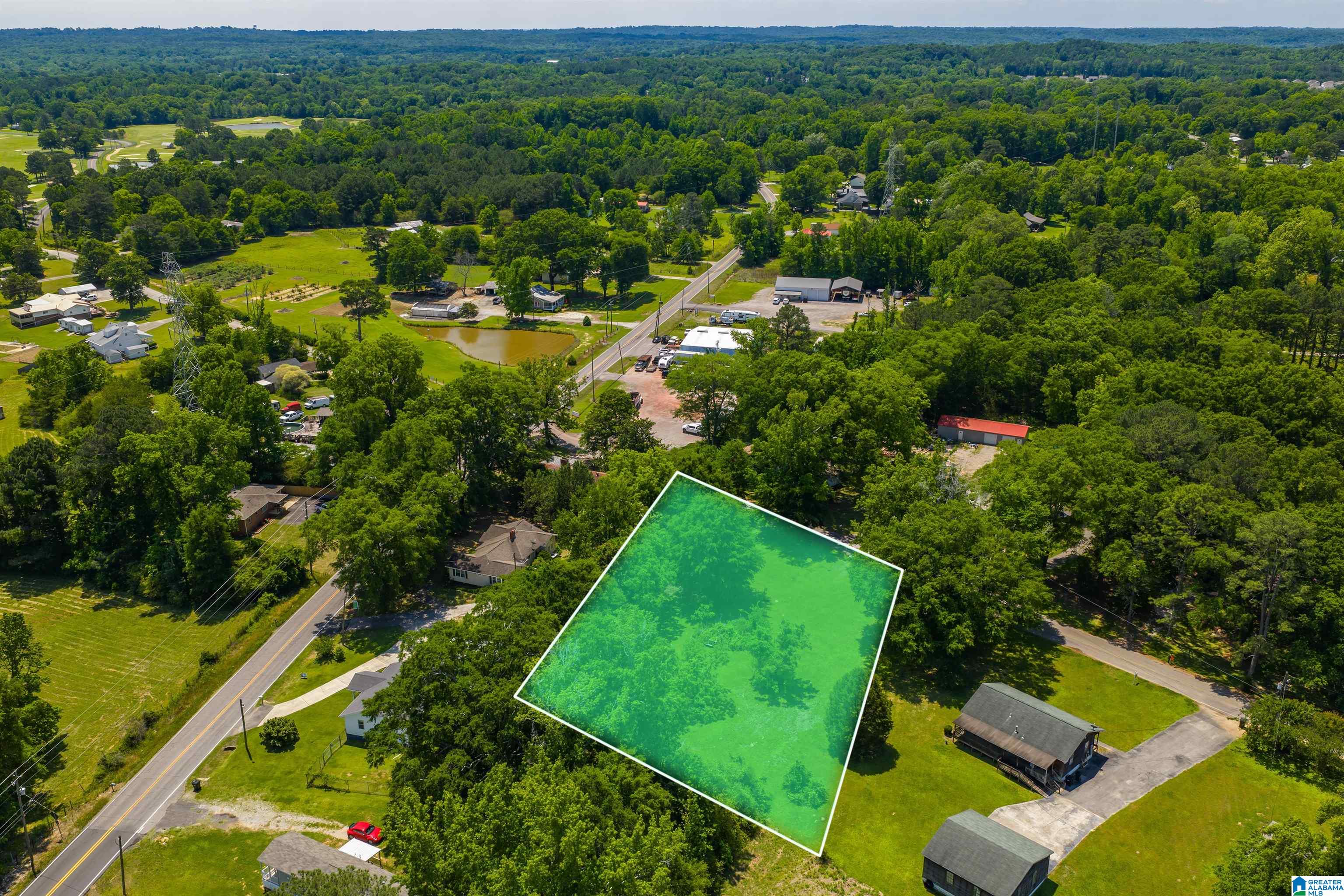 4323 Bell Hill Road Bessemer, AL 35022 - Photo 3 of 22
