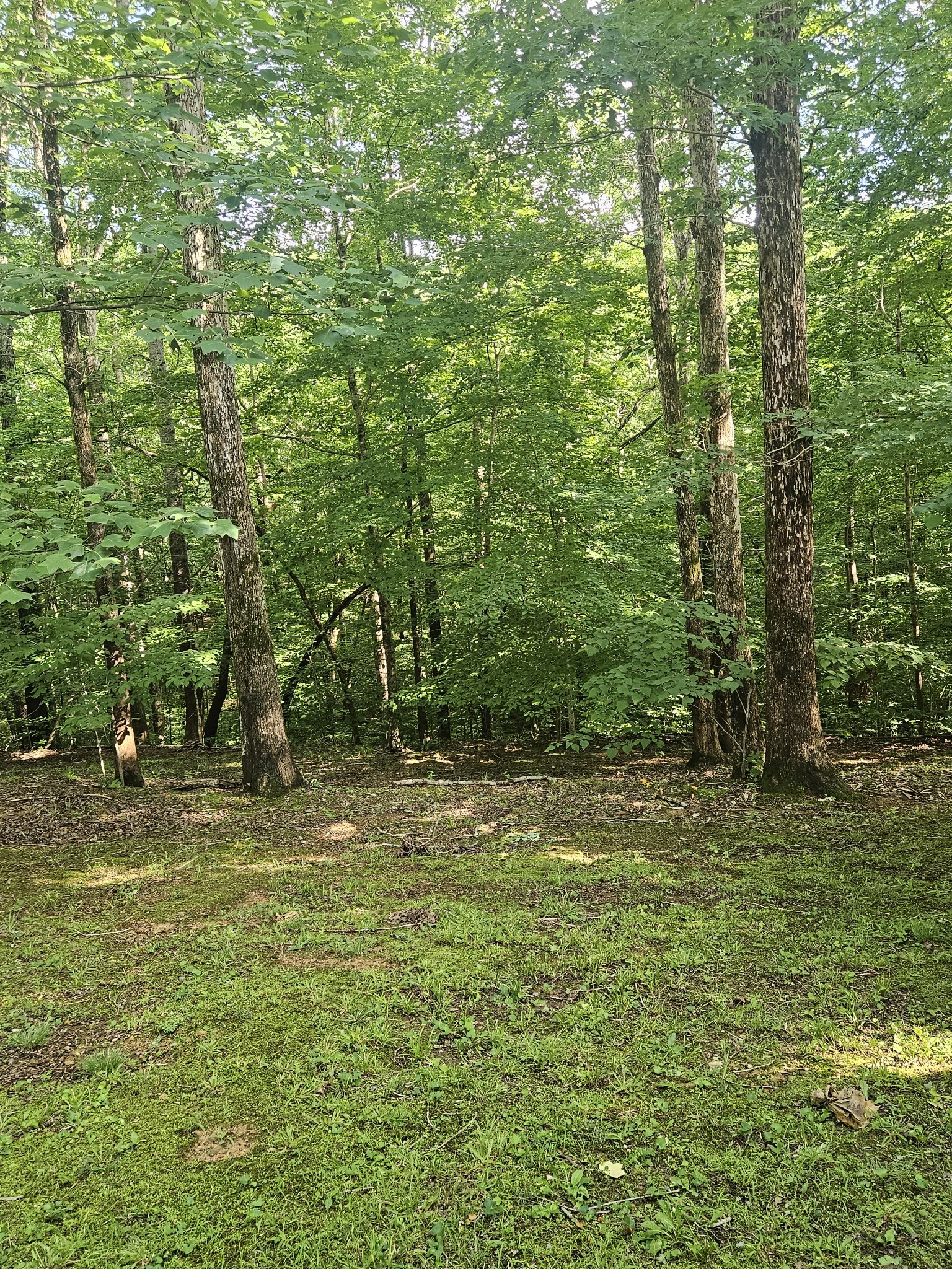 117 West Dell Road Dickson, TN 37055 - Photo 22 of 23