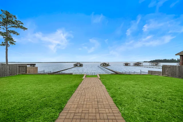 a view of a backyard with plants