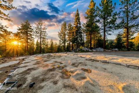 a view of dirt yard with a large tree