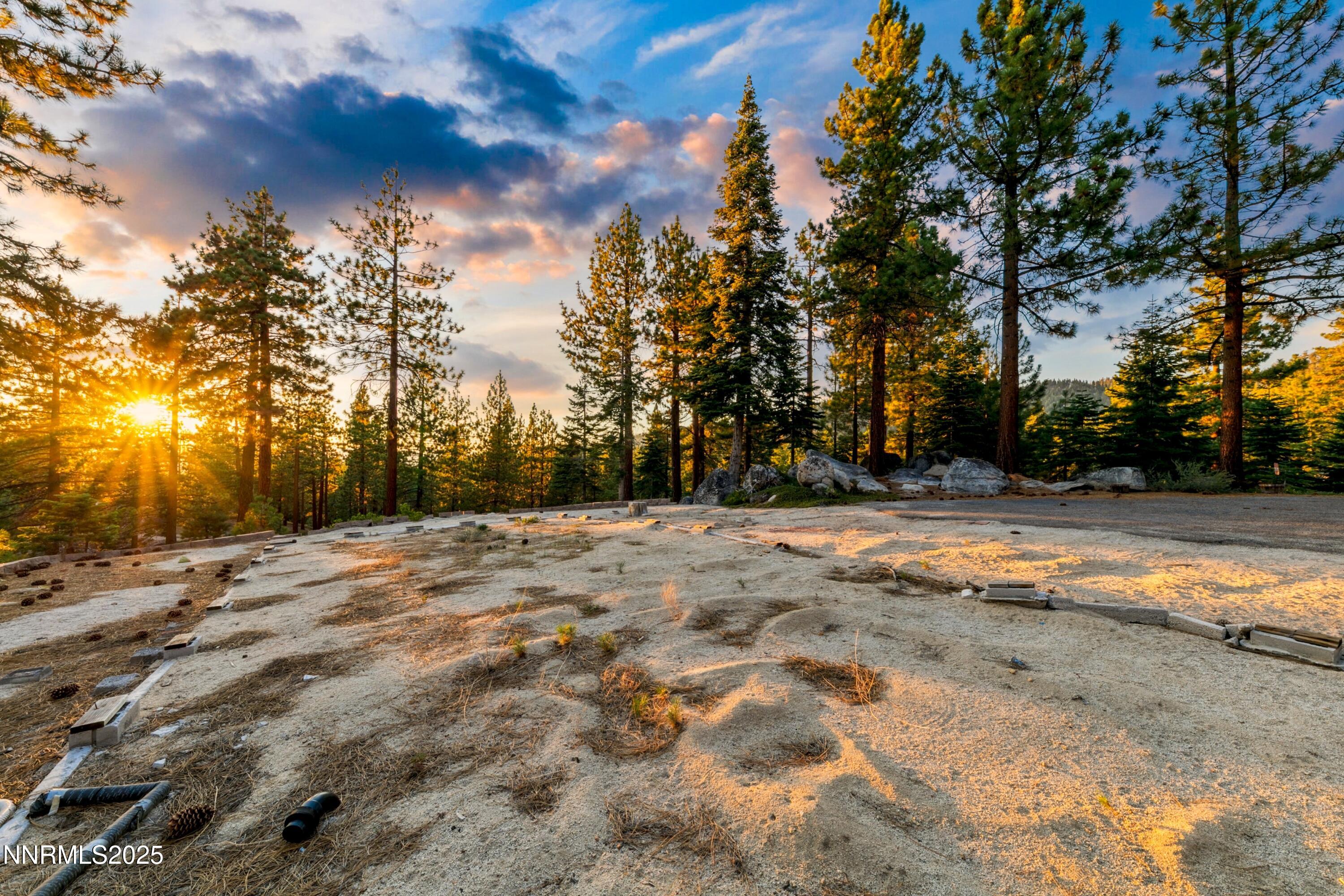 488 Laurel Lane Stateline, NV 89449 - Photo 11 of 25 a view of dirt yard with a large tree