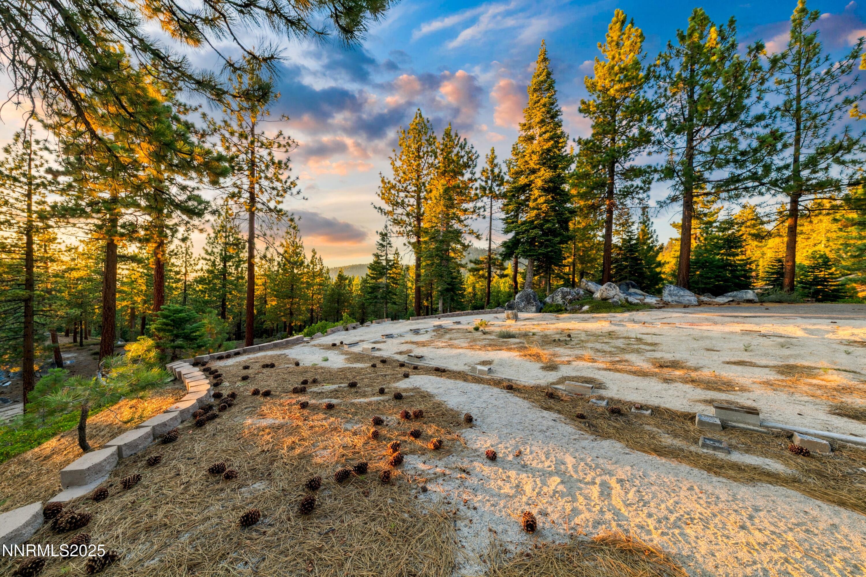 488 Laurel Lane Stateline, NV 89449 - Photo 12 of 25 a view of road with trees