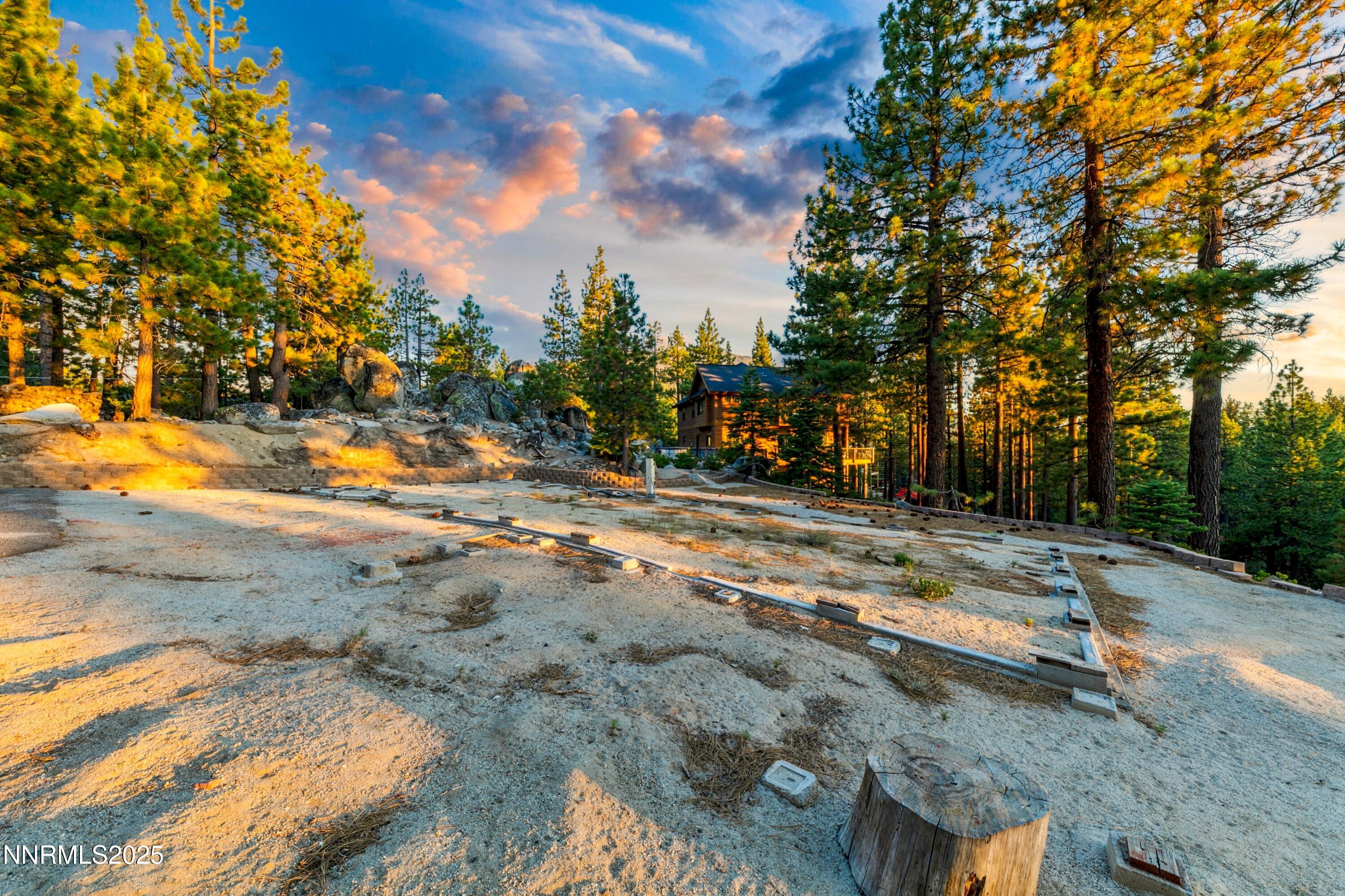 488 Laurel Lane Stateline, NV 89449 - Photo 14 of 25 a view of dirt yard with a large tree