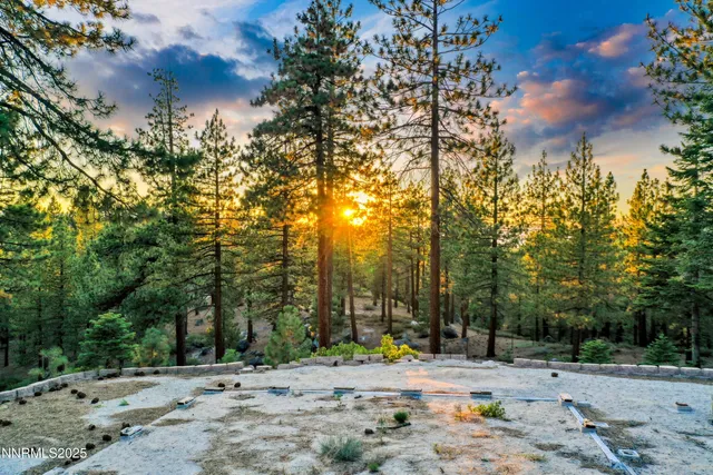 a view of road with trees
