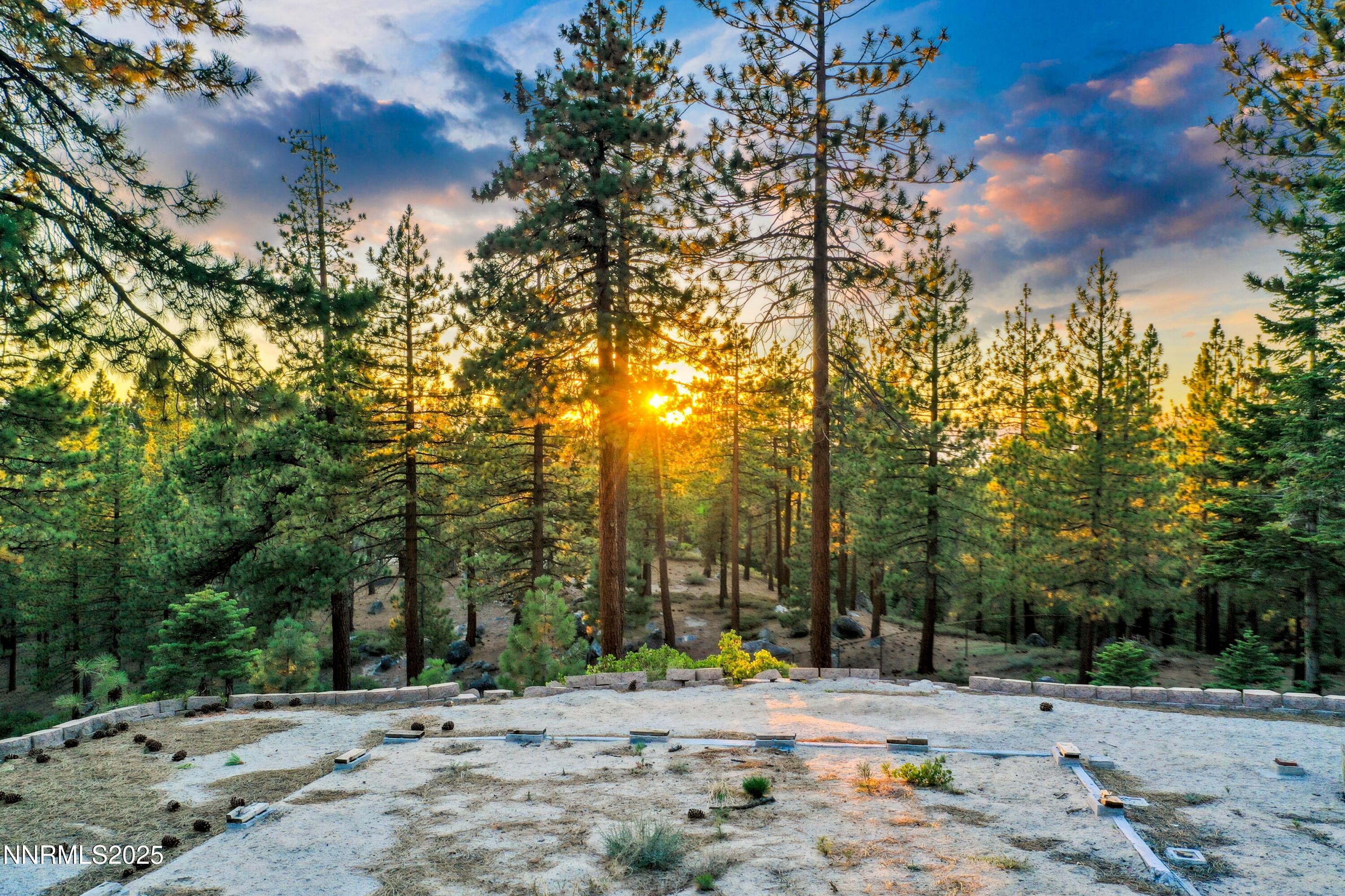488 Laurel Lane Stateline, NV 89449 - Photo 16 of 25 a view of road with trees