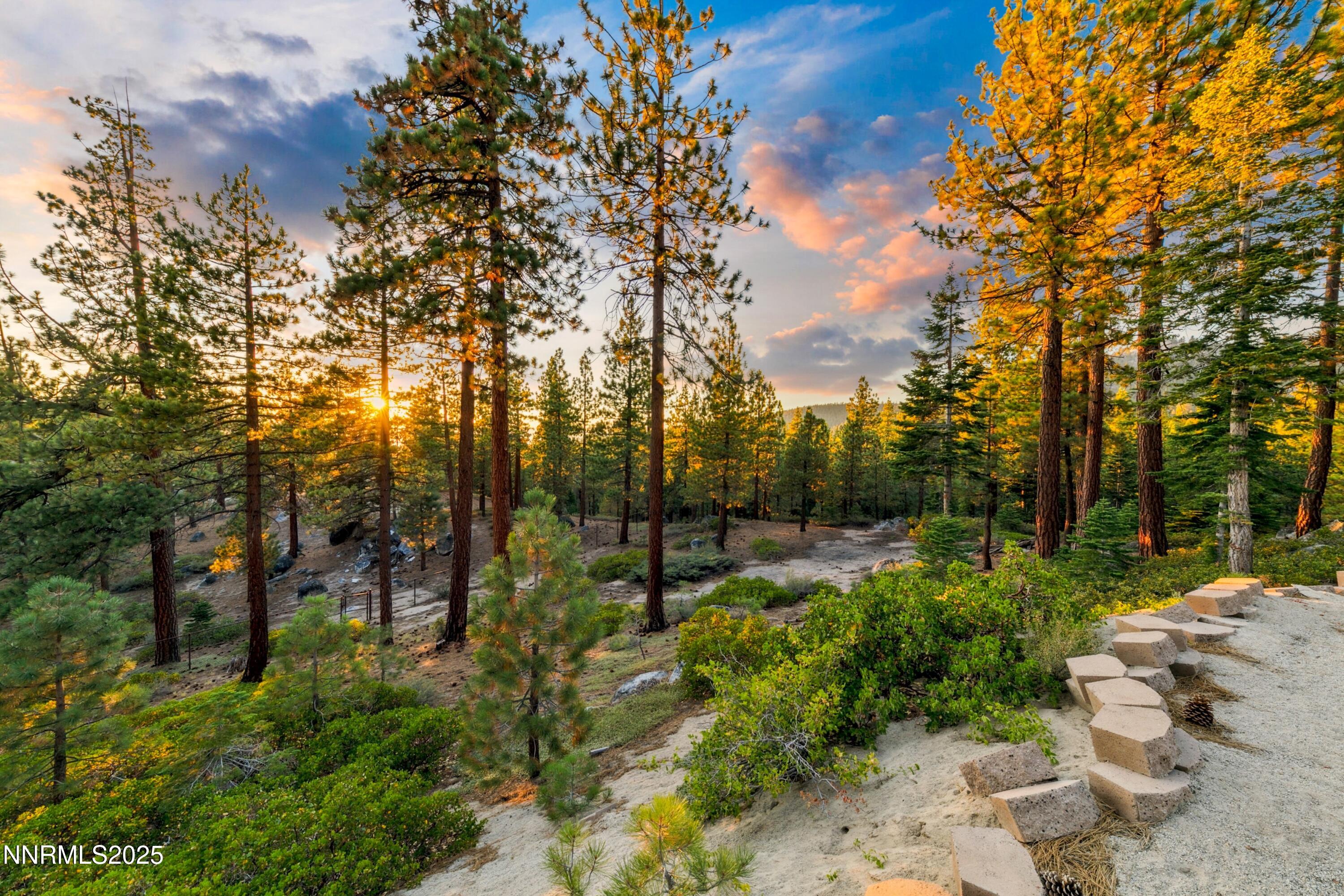 488 Laurel Lane Stateline, NV 89449 - Photo 17 of 25 a view of a park with large trees