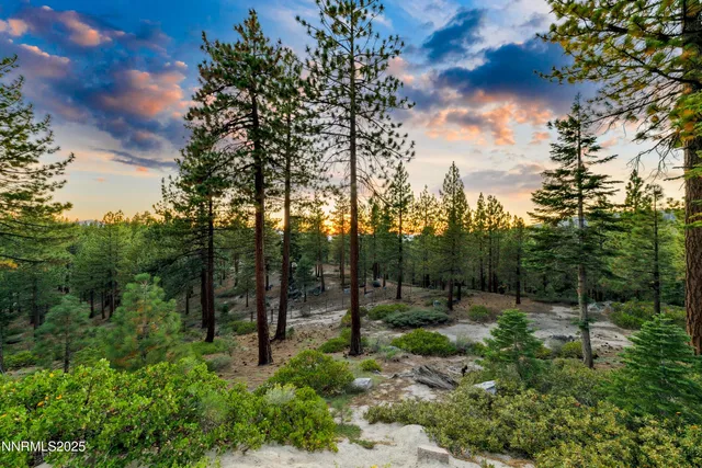 a view of outdoor space and garden