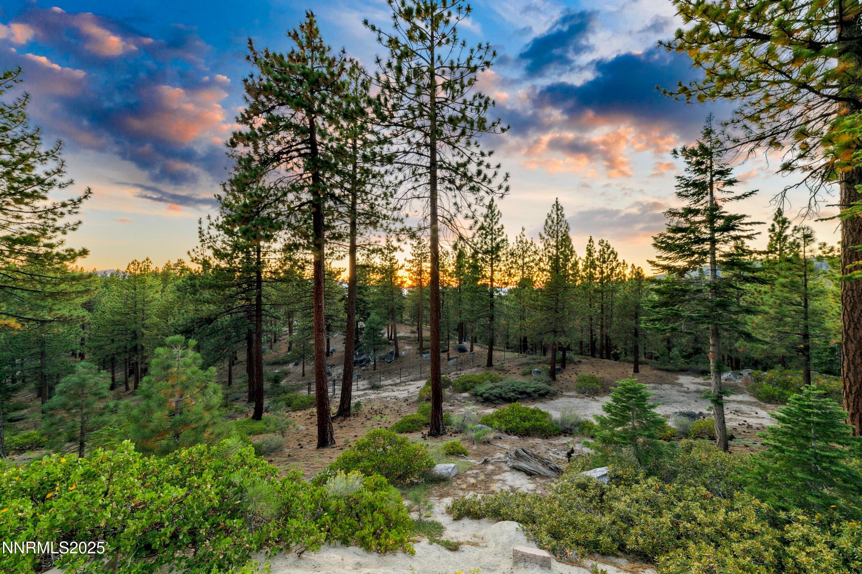 488 Laurel Lane Stateline, NV 89449 - Photo 18 of 25 a view of outdoor space and garden