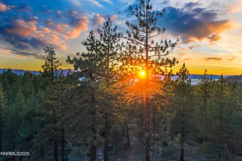 a view of a city with a tree in the background