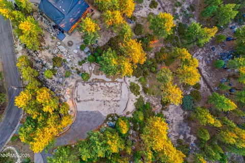 a picture of flowers