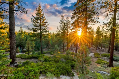 a view of outdoor space and trees