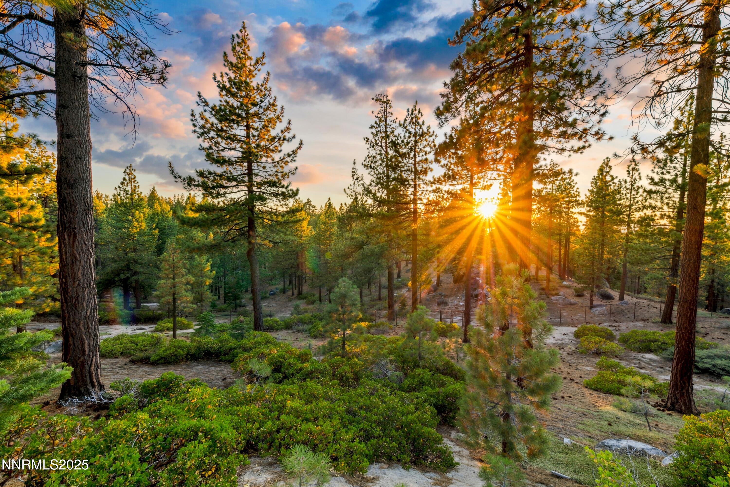 488 Laurel Lane Stateline, NV 89449 - Photo 4 of 25 a view of outdoor space and trees