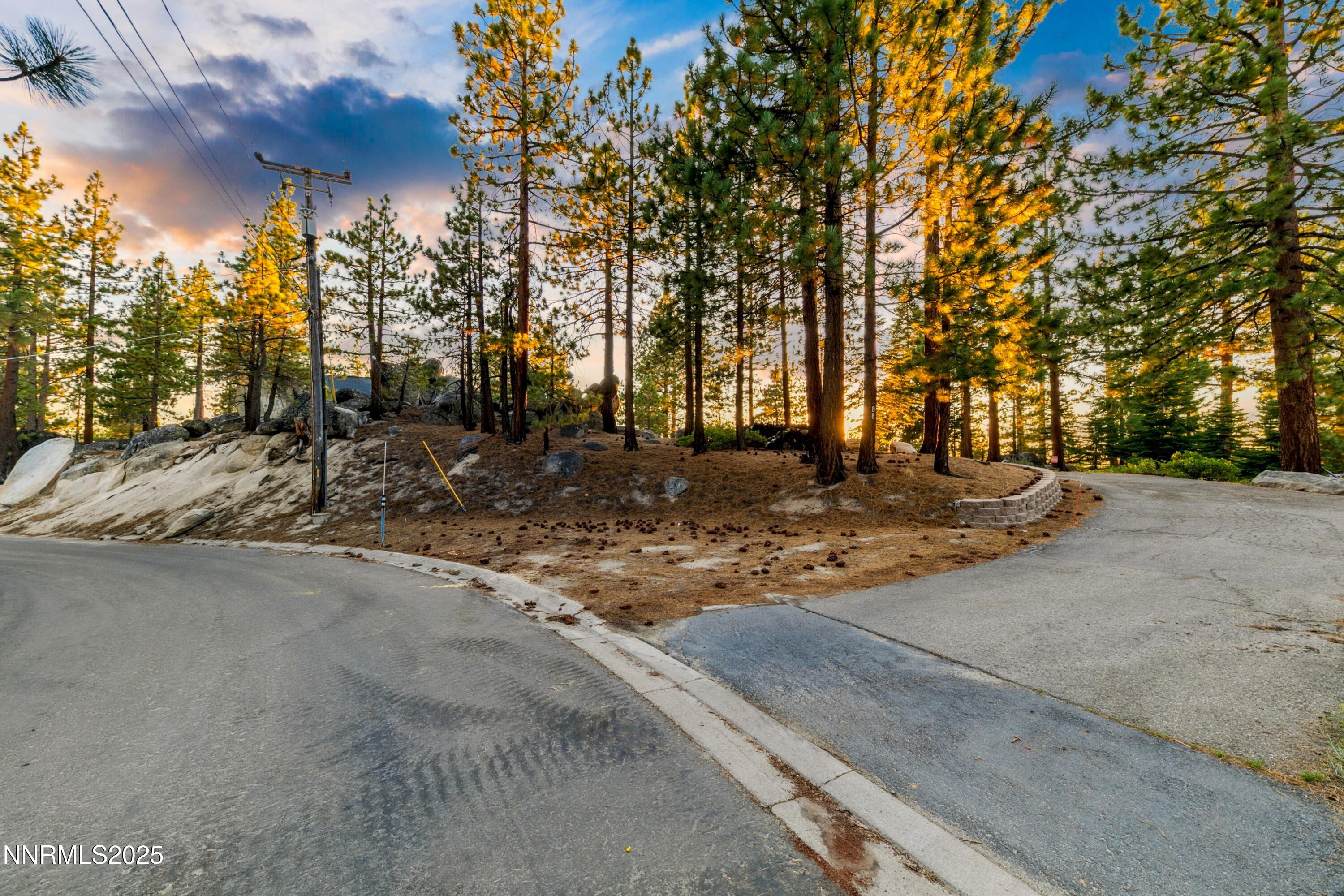 488 Laurel Lane Stateline, NV 89449 - Photo 5 of 25 a view of a yard with a tree