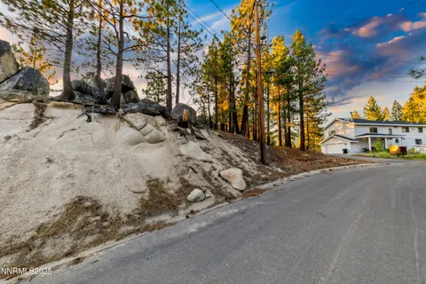 a view of road with large trees